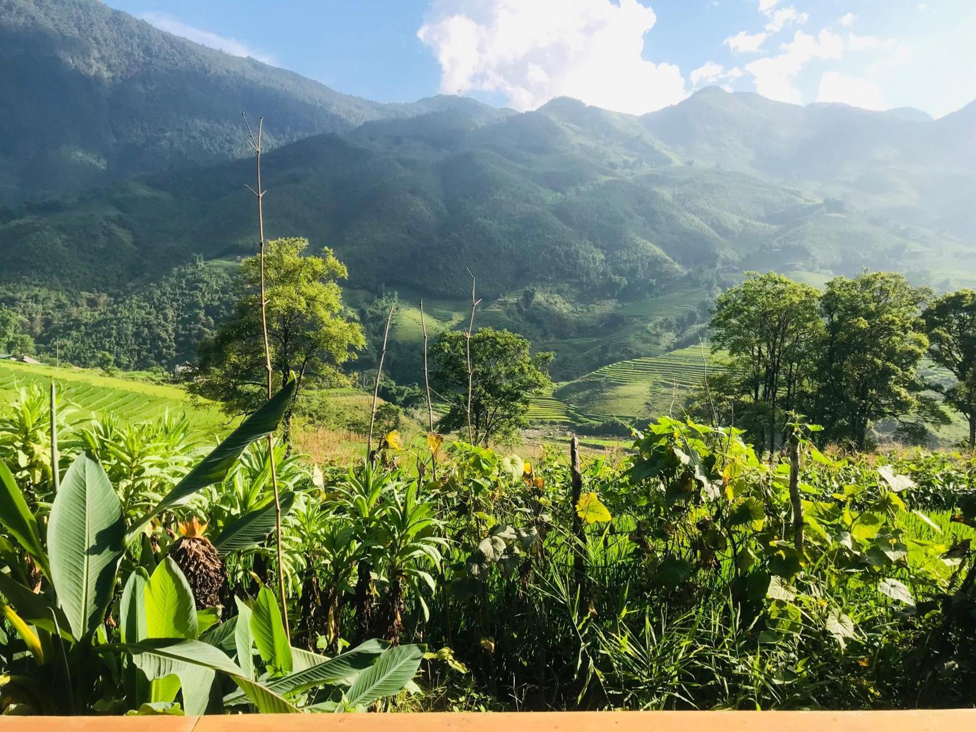 Sapa Hmong Bungalow Homestay Стая снимка